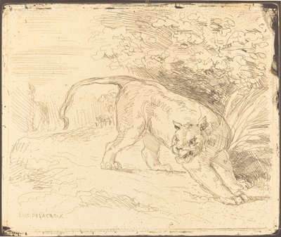 Tijger in Rust door Eugène Delacroix