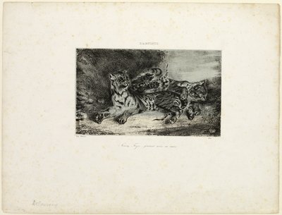 Jonge Tijger die met zijn Moeder Speelt door Eugène Delacroix