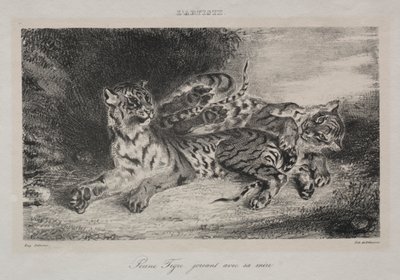 Jonge Tijger die met Zijn Moeder Speelt door Eugène Delacroix