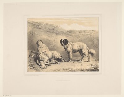 Drie honden door Eugène Verboeckhoven