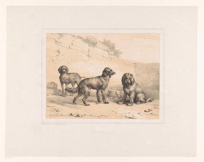 Drie honden door Eugène Verboeckhoven
