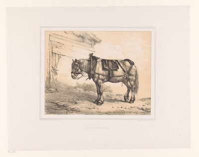 Paard met zadel en halster door Eugène Verboeckhoven