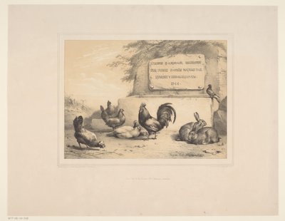 Titelprent met kippen, konijnen en een duif door Eugène Verboeckhoven