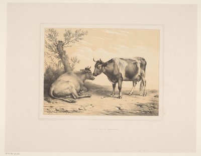Twee koeien door Eugène Verboeckhoven