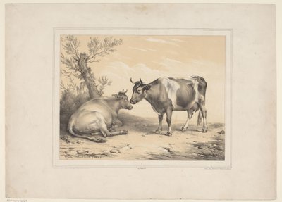 Twee koeien door Eugène Verboeckhoven