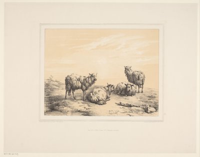 Vier schapen (series title) door Eugène Verboeckhoven