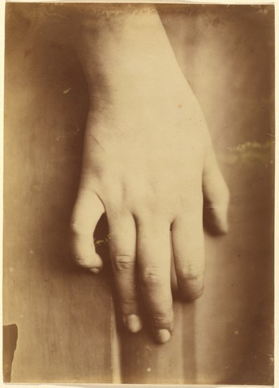 Studie van een hand door European 19th Century