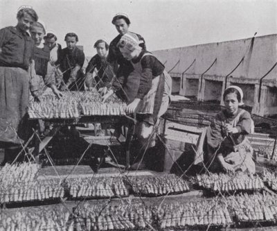 Drogen van Sardine (zw/w foto) door European Photographer