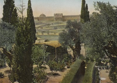 Tuin van Getsemane door European Photographer