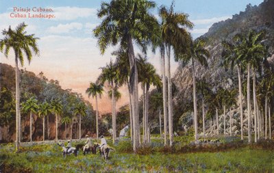 Havana, Cuba: Cubaans Landschap door European Photographer