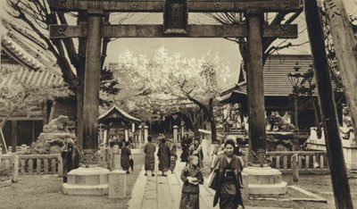 Japan, Straat in Tokio, tijd van de kersenbloesem door European Photographer