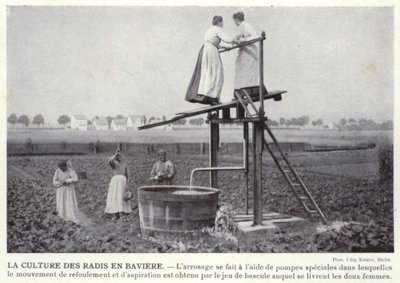 De Radijsteelt in Beieren door European Photographer