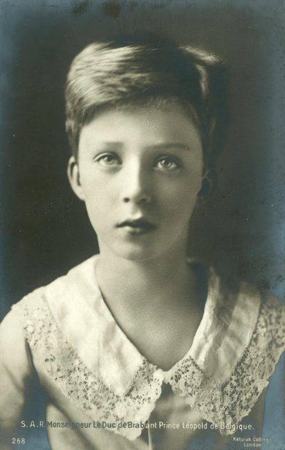 De Hertog van Brabant, Prins Leopold van België door European Photographer