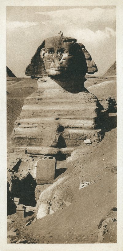 De Grote Sfinx op het Giza-plateau, Egypte door European Photographer
