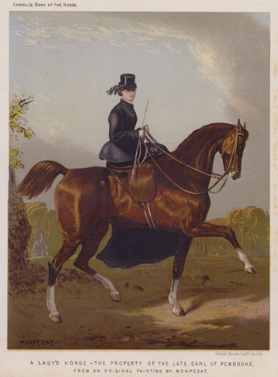 Het paard van een dame, eigendom van de overleden graaf van Pembroke door European School