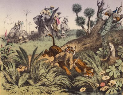 Een jacht in de Indiase jungle door European School