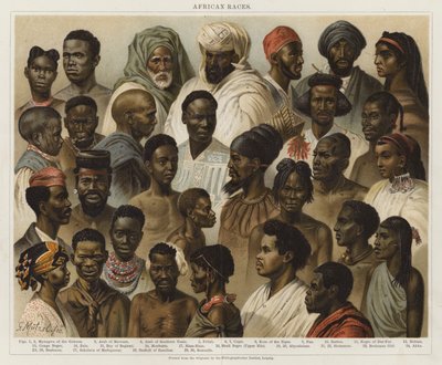 Afrikaanse Rassen door European School