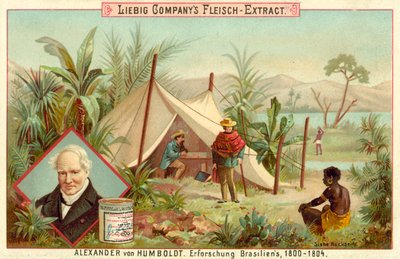 Expeditie van Alexander von Humboldt naar Zuid-Amerika, 1800-1804 door European School