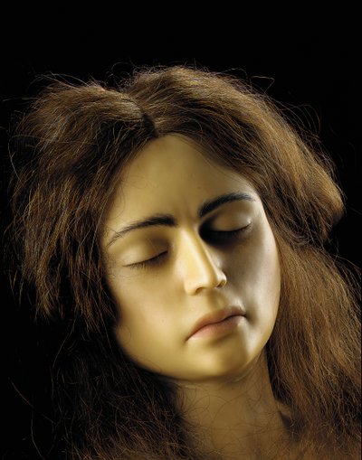 Anatomisch model van een ovariumzwangerschap (detail) door European School