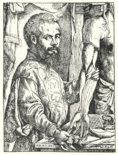 Andreas Vesalius door European School