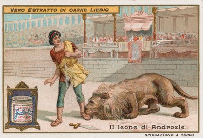 Androcles en de leeuw door European School