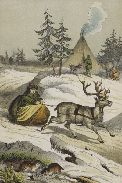 Dieren en planten van Lapland door European School