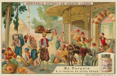 Bij de fontein van Sultan Ahmed III in het Topkapi-paleis door European School