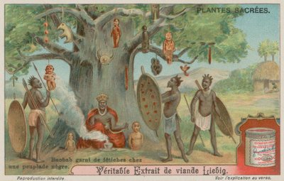 Baobabboom versierd met fetisjen door een Afrikaanse stam door European School
