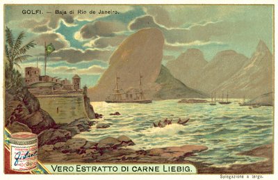 Baai van Rio de Janeiro, Brazilië door European School