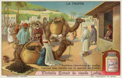 Berbers inspecteren de truffels te koop op de markt in Tunis door European School
