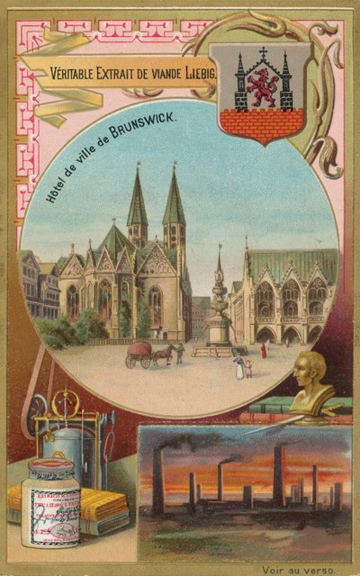 Brunswijk door European School