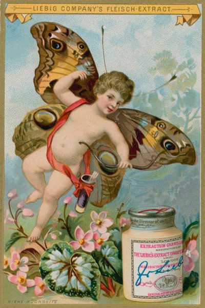 Vlinder Cherub met Roze Bloemen door European School