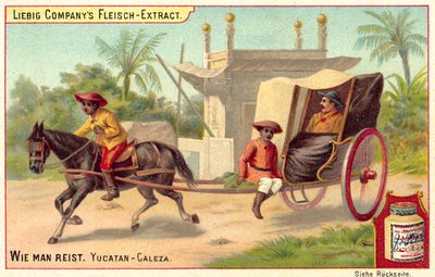 Caleza in Yucatan door European School