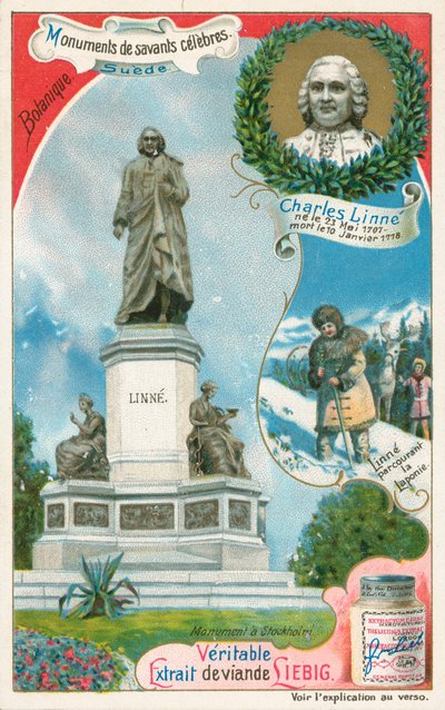 Carl Linnaeus, Liebig-kaart, begin 20e eeuw (chromo) door European School
