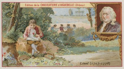 Carl Linnaeus, Zweedse botanicus en zoöloog door European School