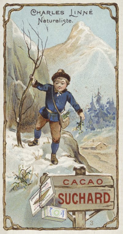 Carl Linnaeus, Zweedse botanicus en zoöloog, als kind door European School