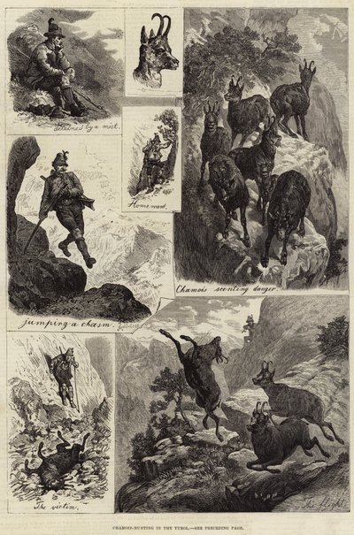Gemsjacht in Tirol (gravure) door European School
