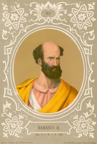Damasus II door European School