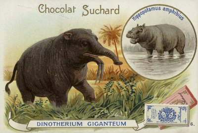 Deinotherium Giganteum en nijlpaard door European School