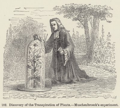 Ontdekking van de Transpiratie van Planten, Muschenbroeck