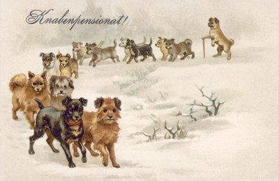 Ansichtkaart hond (kleurenlitho) door European School