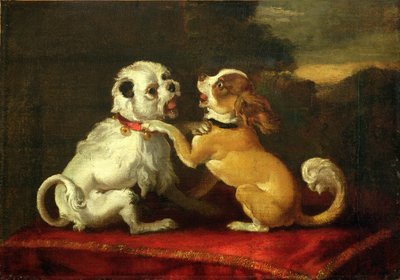 Spelende honden door European School