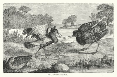 Duel tussen ruften (gravure) door European School