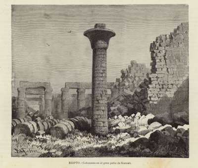 Egypte - Zuilen in de grote binnenplaats van Karnak door European School