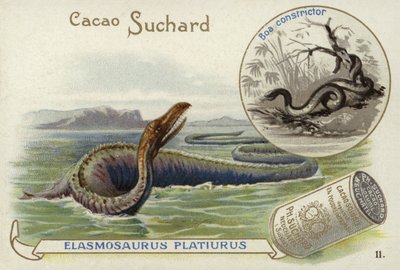 Elasmosaurus en boa constrictor door European School