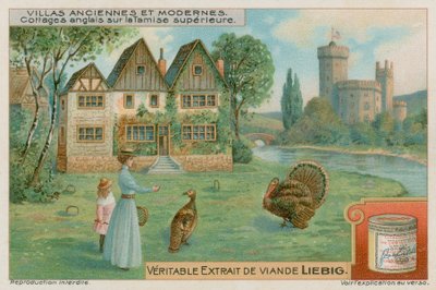 Engelse cottages aan de Boven-Theems door European School