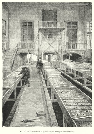 Interieur van de viskwekerij van Huningue (gravure) door European School