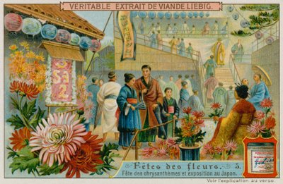 Chrysantenfestivals in Japan door European School