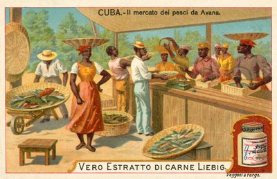 Vismarkt van Havana, Cuba door European School