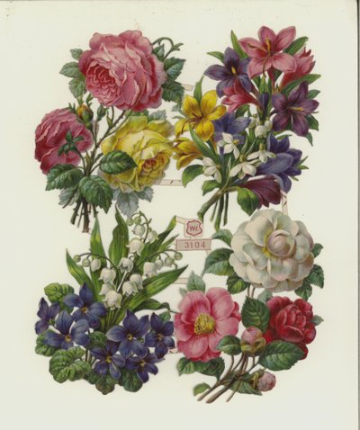 Bloemen door European School